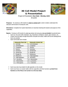 3D Cell Model Project Instructions/Rubric | TPT