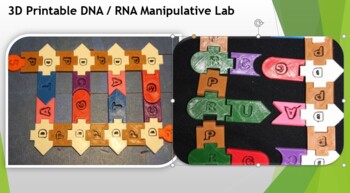 Preview of 3D Printable DNA / RNA Manipulative Lab