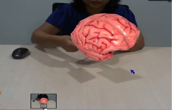 Preview of Human Brain in 3D