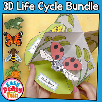 Preview of 3D Life Cycles Bundle | Diorama Craft - Life Cycle of a Butterfly, Frog, Bee...