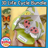 3D Life Cycles Bundle | Diorama Craft - Life Cycle of a Bu