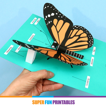 monarch butterfly template printable