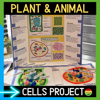 3D Plant and Animal Cell Project – Build a Cell with Organelles Activity