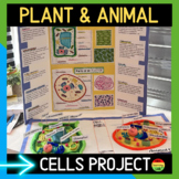 3D Plant and Animal Cell Project - Build a Cell with Organ
