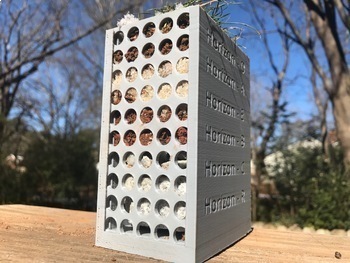 Preview of 3D Printed Soil Horizons Box (and a mini version), Included Lab, Worksheet