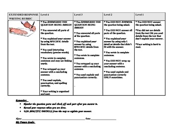 Preview of 3RD GRADE NYS ELA EXTENDED WRITING RESPONSE RUBRIC