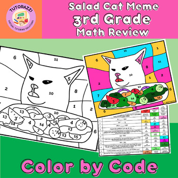Preview of 3RD Grade Spiral Review | Salad Cat Meme Color by Code Coloring Worksheet