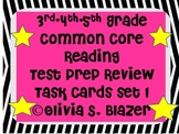 3rd, 4th, 5th Grade Common Core Comprehensive Reading Revi