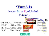 3rd Declension I-stems - The Best Powerpoint ever.