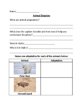3rd Grade Benchmark Animal Adaptations Worksheets By Study With Scott