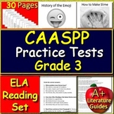 3rd Grade CAASPP Test Prep Practice for English Language Arts