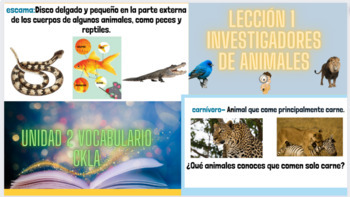 Preview of 3rd Grade CKLA Vocabulary Spanish, Unit2 lesson 1-10 