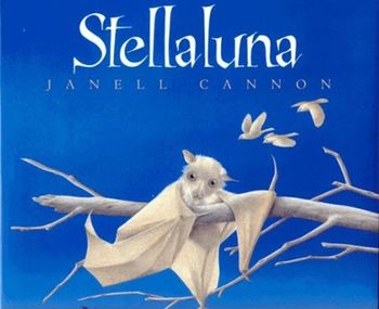 Preview of 3rd Grade Common Core Fiction/NF lessons- Stellaluna
