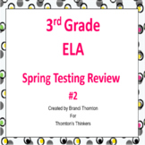 3rd Grade ELA Spring Testing Review #2