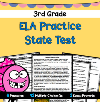 Preview of 3rd Grade ELA Practice State Test #1