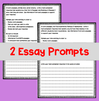ela state test essay examples