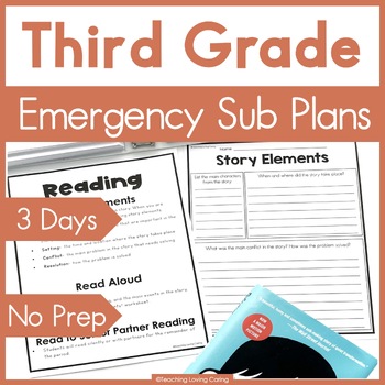 Preview of Third Grade Emergency Sub Plans for Sub Binder or Sub Tub