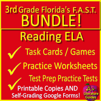Preview of 3rd Grade Florida BEST Standards ELA - PM3 Reading Practice Tests Florida FAST
