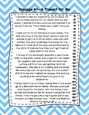 3rd Grade Fluency Passages with Comprehension Questions Se