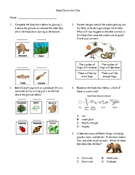 Food Chains Labs in a Snap | 3rd Grade Ecosystem Activities & Food Chain  Project