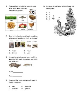 Map Quiz: FOOD WHEEL (biología - 3º primaria - food wheel)