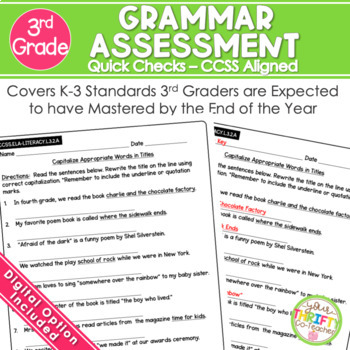 Preview of 3rd Grade Grammar Assessment | Weekly Tests | Standard Based Worksheets