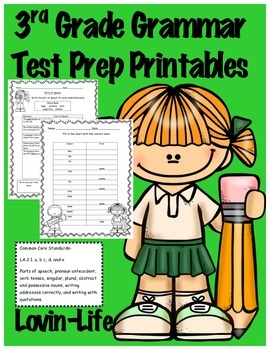 Preview of 3rd Grade Grammar Packet for Common Core Test Prep Printables- NO PREP