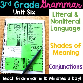Preview of 3rd Grade Grammar Shades of Meaning Literal & Nonliteral Language Conjunctions