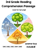 3rd Grade Informational Reading Comprehension- The 4 Seasons