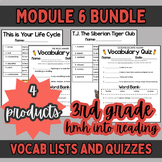 3rd Grade Into Reading: Module 6 Vocabulary Bundle