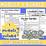 3rd Grade Into Reading: Module 9 Vocabulary Bundle