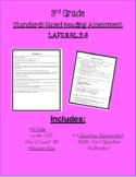 3rd Grade -LAFS.3.RL2.6  Mini Assessment RL3.6 Narrator Po