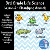 3rd Grade Life Science Lesson 4 - Classifying Animals