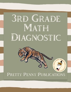 Preview of 3rd Grade Math Diagnostic