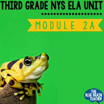Preview of 3rd Grade Module 2A Unit 1, Unit 2, Unit 3  BUNDLE