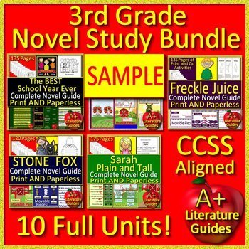 Preview of 3rd Grade Novel Study Bundle Free Sample