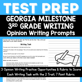 2009 georgia 5th grade writing assessment tests