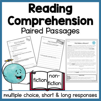 Preview of Reading Comprehension Passages and Questions 3rd Grade Reading Skills