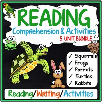 Preview of 3rd Grade Reading Comprehension Passages & Questions | 3rd Grade Busy Work Units