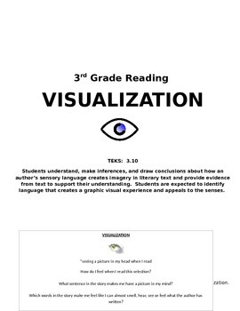 Preview of Visualization Lesson Reading TEKS 3.10