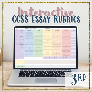 Preview of 3rd Grade Rubrics for Writing Essays