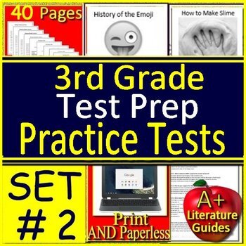 Preview of 3rd Grade SELF-GRADING GOOGLE FORMS -  ELA Test Prep Reading Practice Tests #2
