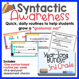 3rd Grade SYNTACTIC AWARENESS Bundle