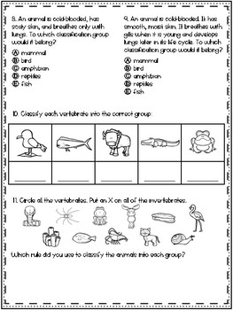 3rd Grade Science Plant and Animal Classification Test: Big Idea 15