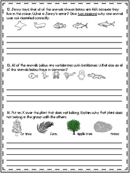 3rd grade science plant and animal classification test