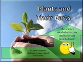 3rd Grade Science: Plants and Their Parts