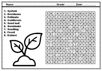 3rd grade science words word search worksheets by swati sharma tpt