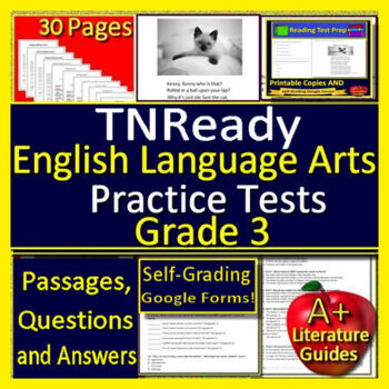 Preview of 3rd Grade TCAP TNReady ELA Reading Practice Tests - Printable and Google Forms