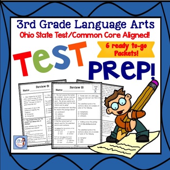 Preview of 3rd Grade Language Arts Skill Packet Review for State Test