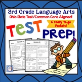 3rd Grade Language Arts Skill Packet Review for State Test